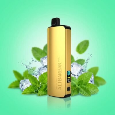ALIBARBAR PRO 12000 Ice Adjust Fresh Mint